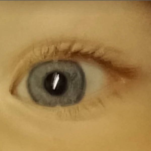 Close-up of a child's eye showing a distinctive iris pattern, inspired by the legend of Sigurd Snake-in-the-Eye and the mythical Serpent Eye in Viking history and Norse genealogy